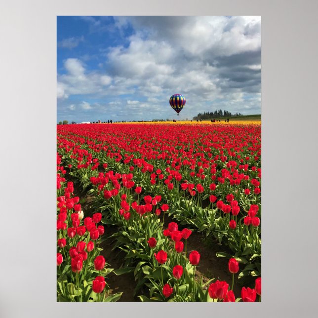 Poster Campos vermelhos com balão de ar quente (Frente)