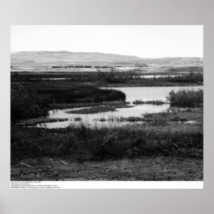 Poster Campus do outro lado da Piscina selvagem, Irvine,