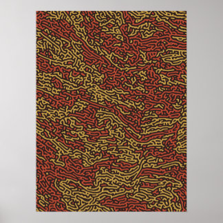 Poster Camuflagem de Abobrinha com Tempero de Outono