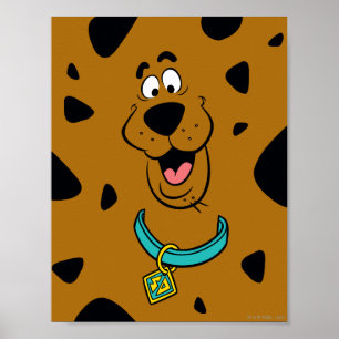 Póster Camuflagem de Scooby-Doo