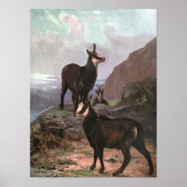 Póster Camurça por CE Swan, Cabras nas Montanhas