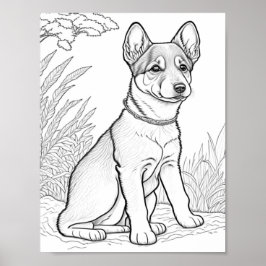 Poster Canaan Dog Adult Coloring