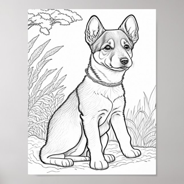 Poster Canaan Dog Adult Coloring (Frente)