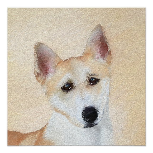 Póster Canaan Dog Painting - Arte de Cachorro Original (Frente)