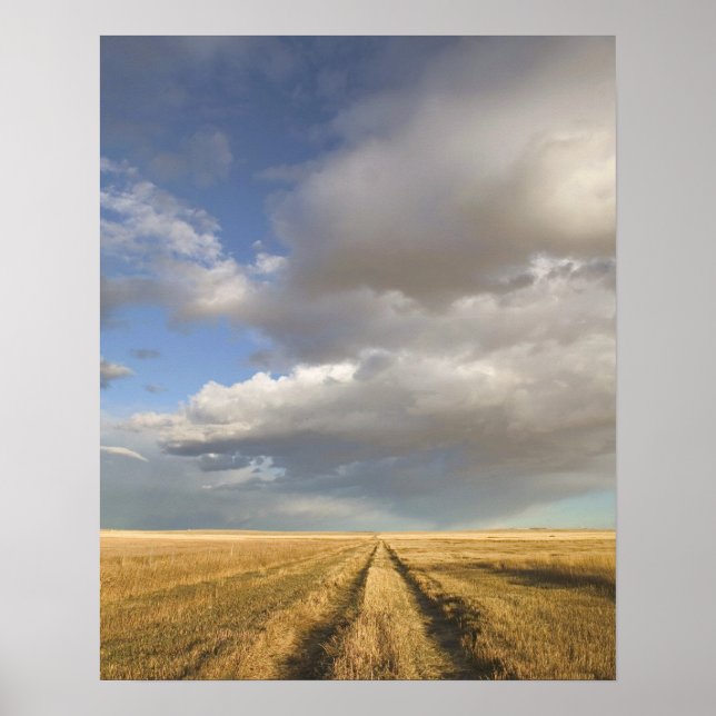 Póster Canadá, Alberta, Afastem-se: Paisagem com (Frente)