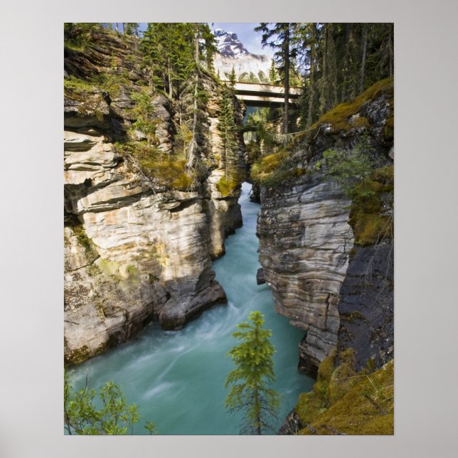 Póster Canadá, Alberta, Jasper National Park, Athabasca 2 (Frente)