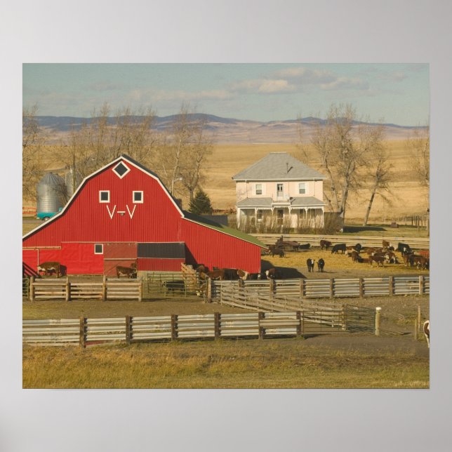 Póster Canadá, Alberta, Pincher Creek: Red Barn & Ranch (Frente)