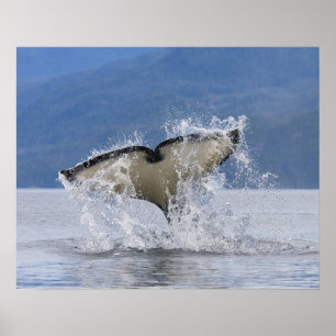 Poster Canadá, Columbia Britânica, ilha de Vancôver,
