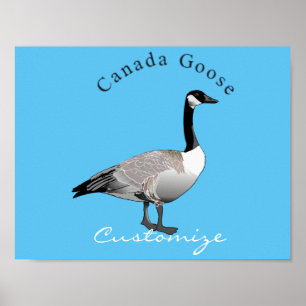 Poster Canadá Goose Gander Thunder_Cove