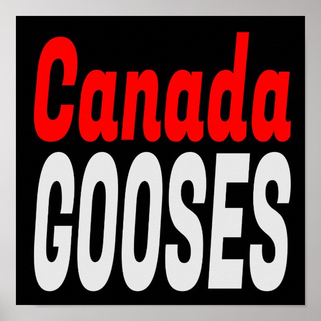 Poster Canadá Gooses - Letra Kenny Funny Novelty (Frente)