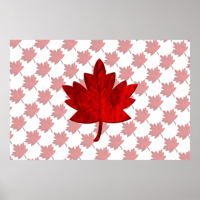 Poster Canada-Maple Leaf por Shirley Taylor (Frente)