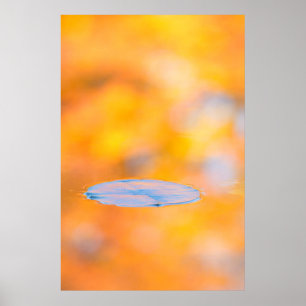 Póster Canadá, Quebec  Parque de Conservação do Monte 