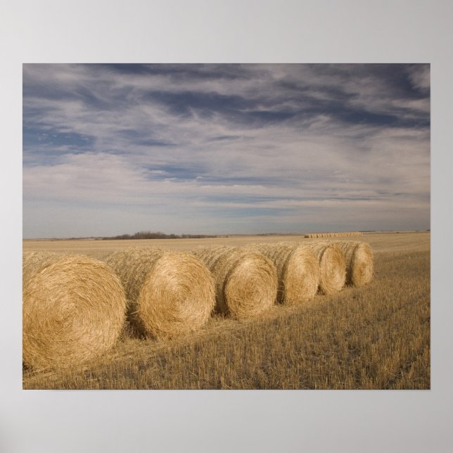 Póster Canadá, Saskatchewan, Craik: Hayrolls / Outono (Frente)