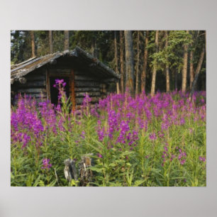Poster Canadá, Yukon, área de Ross River, Cabana abandona