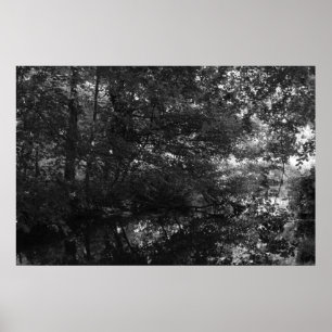 Póster Canal, Bute Park, Cardiff