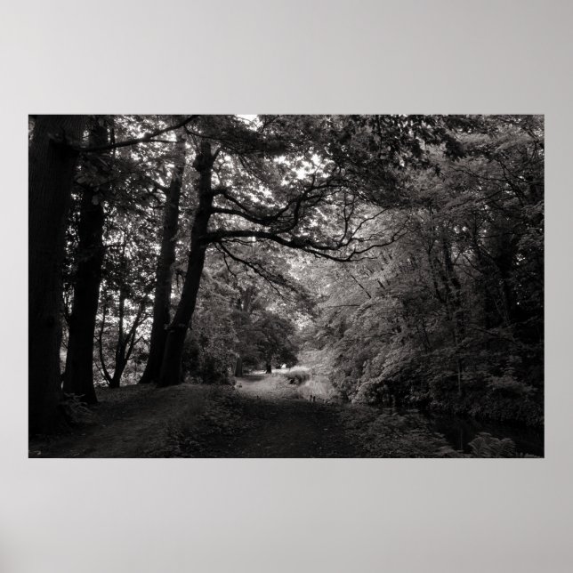 Póster Canal, Bute Park, Cardiff, Gales (Frente)