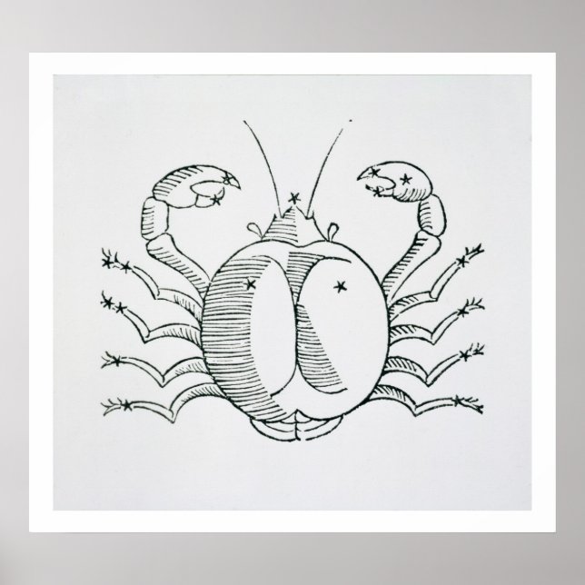 Póster Cancer (o Caranguejo) ilustração da Poética (Frente)