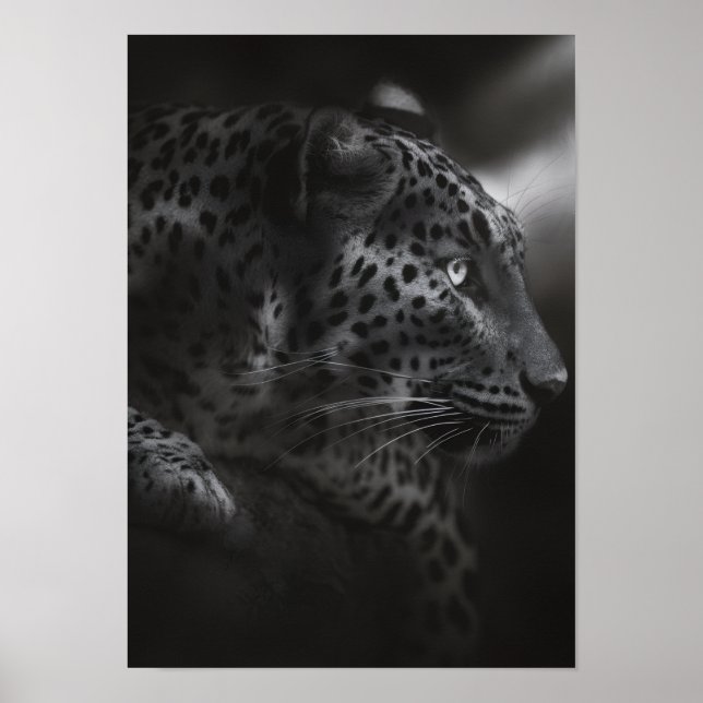 Poster Câncer preto&branco (Frente)