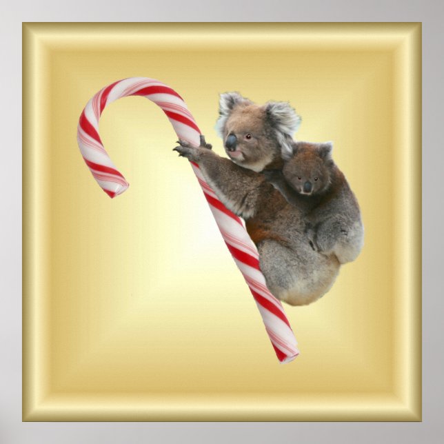 Póster Candy Cane Koalas (Frente)