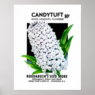 Póster Candytuft Seed Packet Label