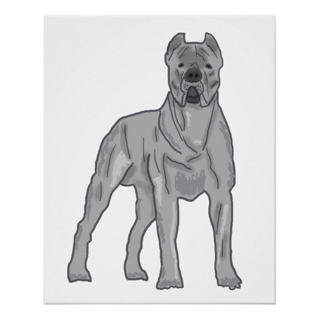Póster Cane Corso (Frente)