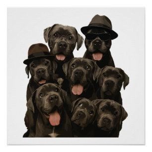 Póster Cane Corso