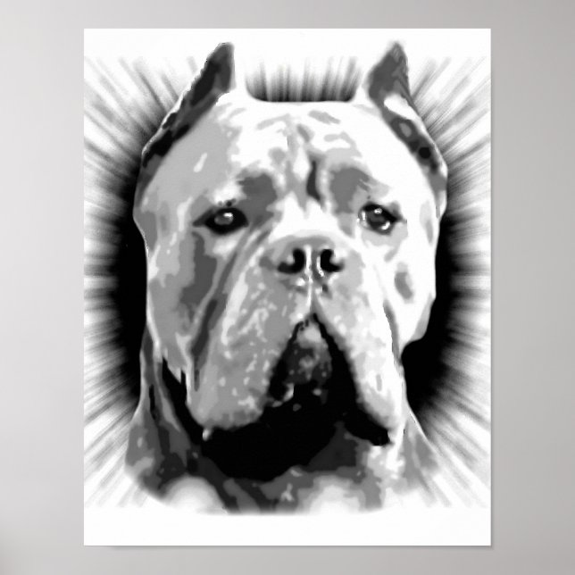 Póster Cane Corso (Frente)
