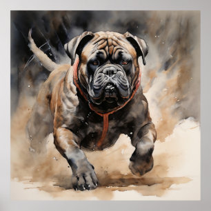 Poster Cane Corso Executando Desenho de Tinta