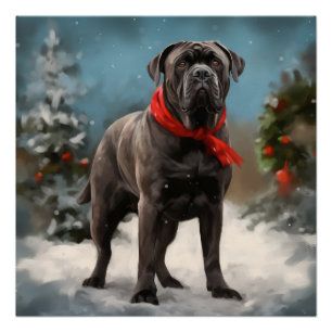 Póster Cane Corso no Natal da Neve