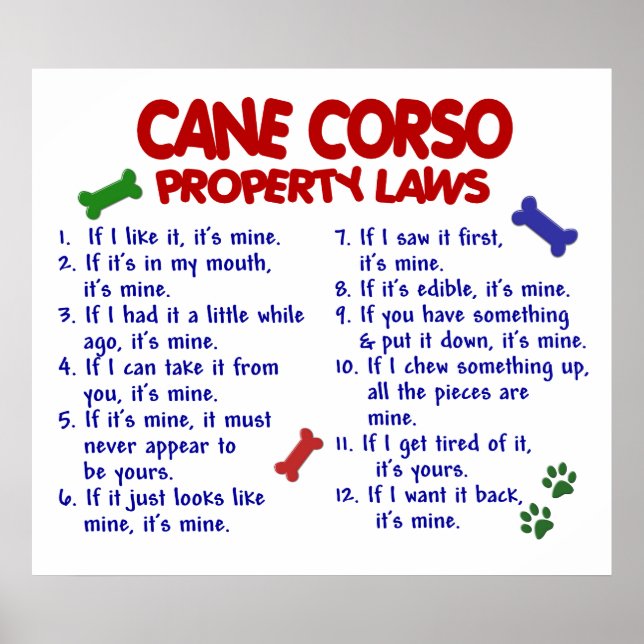 PÓSTER CANE CORSO PL2 (Frente)