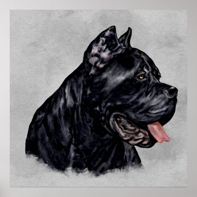 Poster Cane Corso - Retrato Mastiff Italiano (Frente)