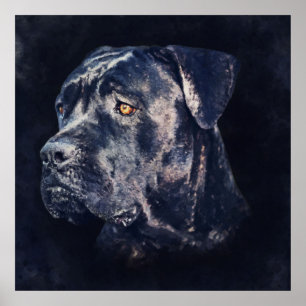 Poster Cane Corso - Retrato Mastiff Italiano