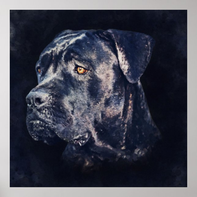 Poster Cane Corso - Retrato Mastiff Italiano (Frente)