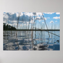 Cane e reflexos no Lago Rice