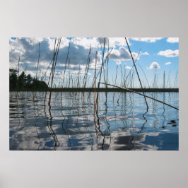 Poster Cane e reflexos no Lago Rice