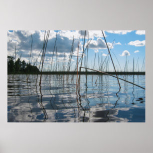 Poster Cane e reflexos no Lago Rice