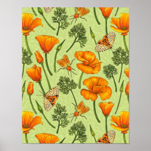 Poster Canecas da Califórnia e mariposas no orvalho