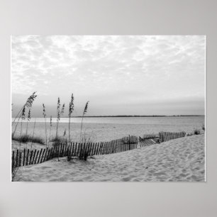 Poster Canetas Praia de Pensacola Preto e Branco