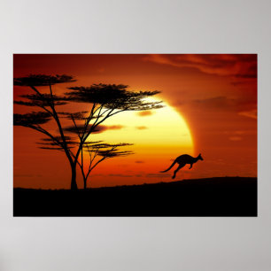 Póster cangoru ao pôr do sol
