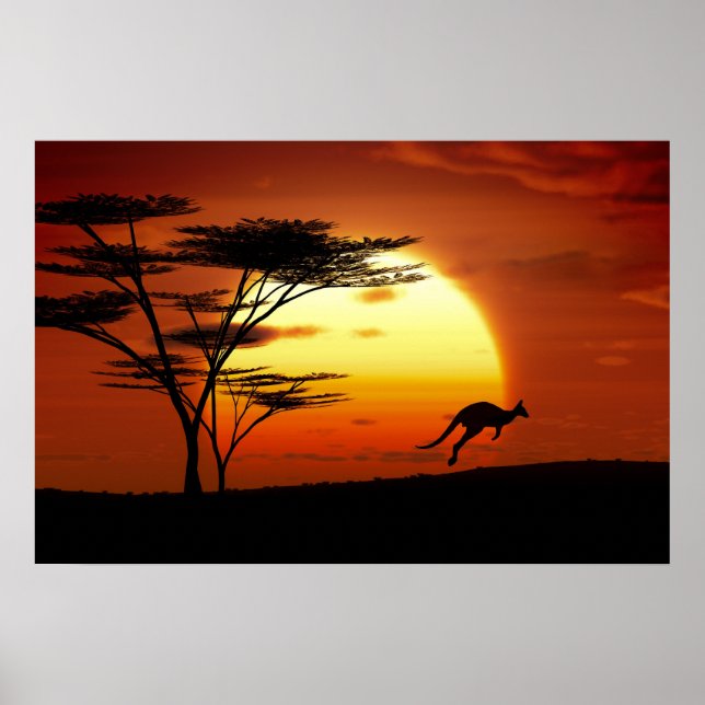 Póster cangoru ao pôr do sol (Frente)