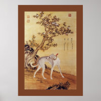 Cangshuiqiu 苍 水 虬 ~ Greyhound ~Giuseppe Castiglion