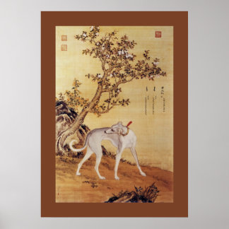 Póster Cangshuiqiu 苍 水 虬 ~ Greyhound ~Giuseppe Castiglion