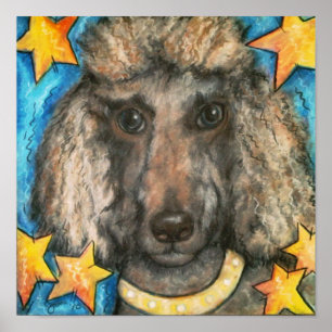 Póster Caniche fino