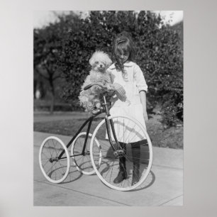 Póster Caniche Vara, 1913