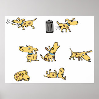Poster Canina
