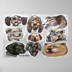 Poster Canina