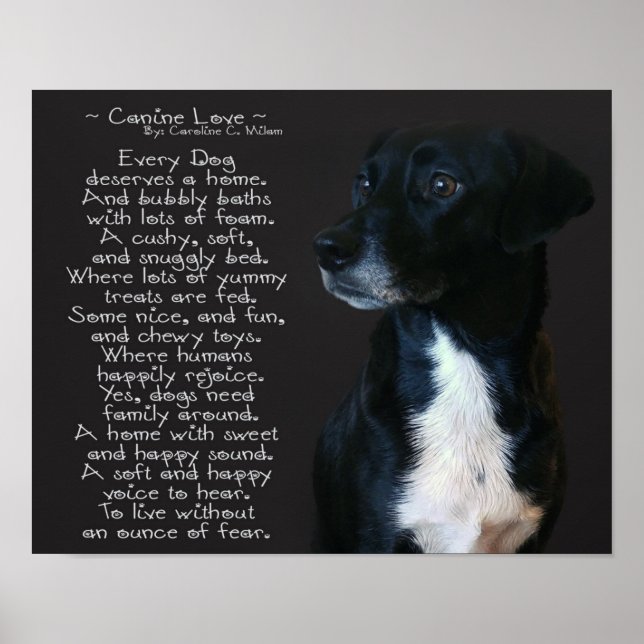 Poster Canine Love (Frente)