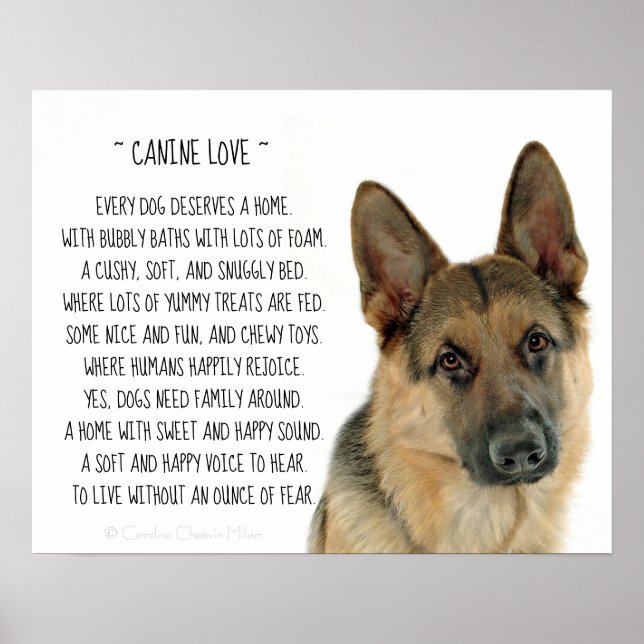Poster Canine Love (Frente)
