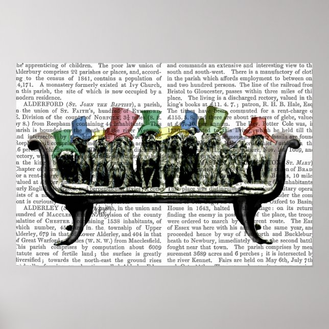 Poster Caninos em Sofa (Frente)