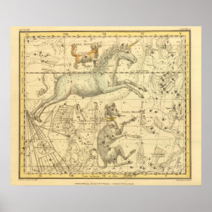 Póster Canis Major, Canis Minor, Monoceros, Argo Navis